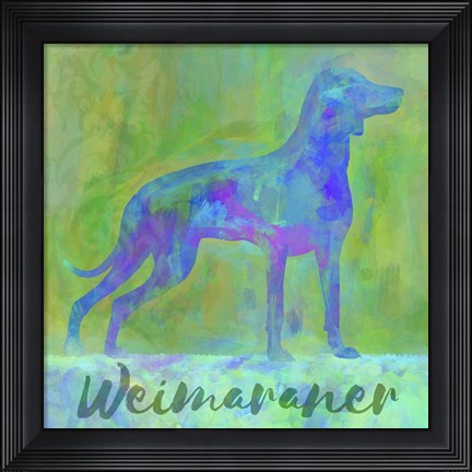 Framed Weimaraner Dog Print