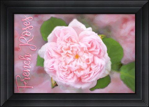 Framed French Roses Print