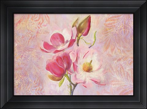 Framed Magnolia Ii Print