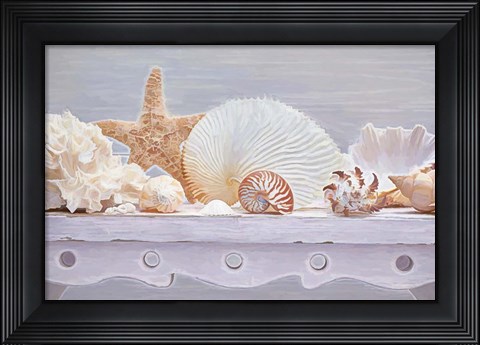 Framed Sea Shell Still Life Print