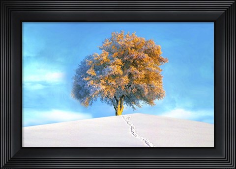 Framed Last Show Print