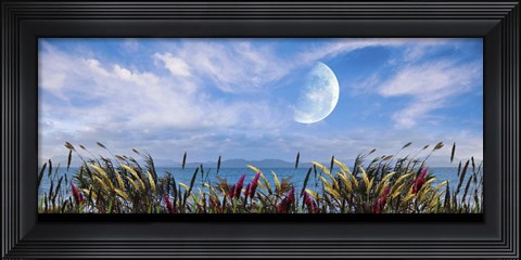 Framed Blowing in the Wind Print