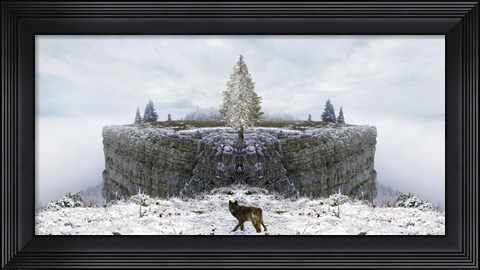 Framed Lone Wolf Print