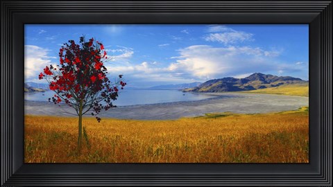 Framed Autumn View Print