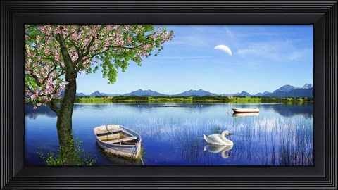 Framed Swan Lake Print