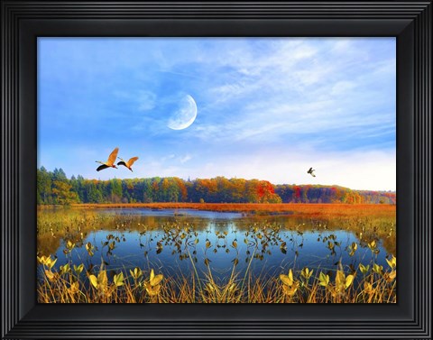 Framed Flying Print
