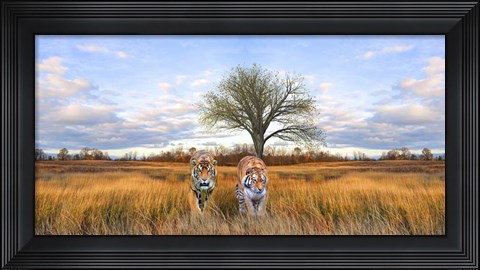 Framed Wild Cats Print