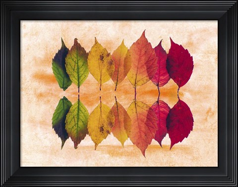 Framed Color Of Autumn Print