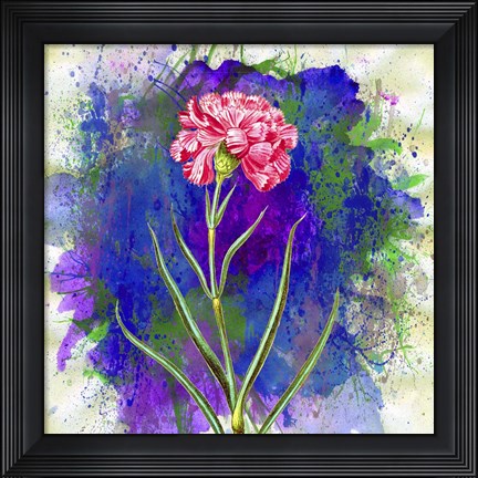 Framed Pink Carnation Print