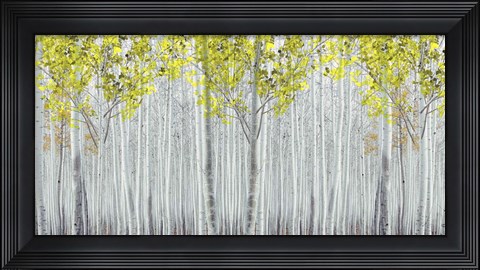 Framed White Forest Print