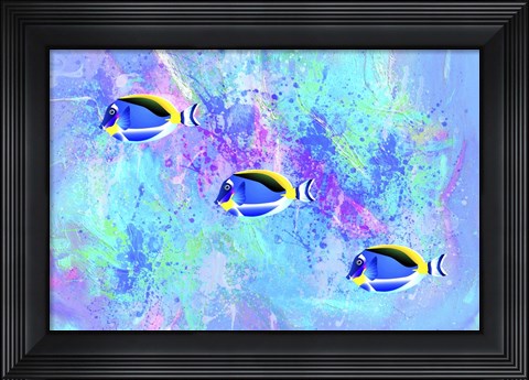 Framed Fish Trio Print