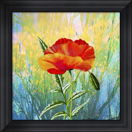 Framed Poppy Flower Print