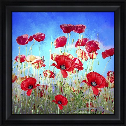 Framed Poppy Flowers Field Print