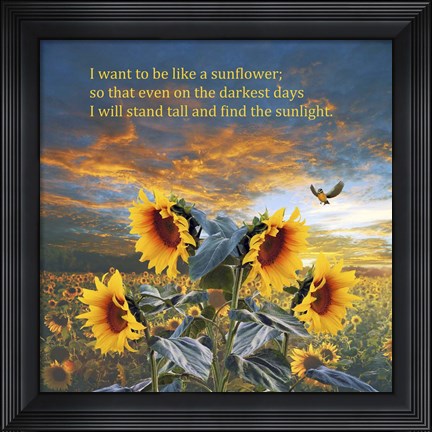 Framed I Want to be a Sunflower Print
