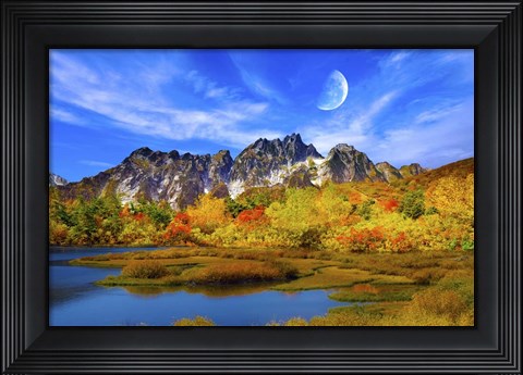 Framed Beauty Of Nature Print