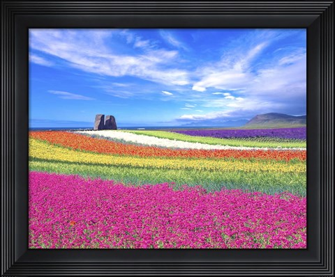 Framed Colorful Landscape Print