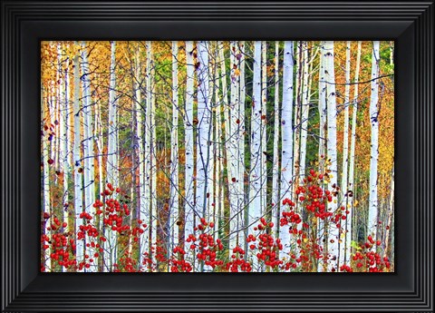 Framed Fall Season 2 Print