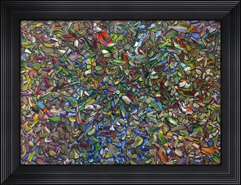 Framed Flower Re-Arrangement Print