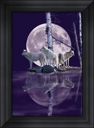 Framed Moonset Point Print
