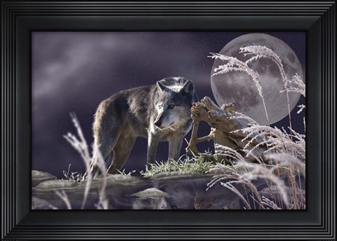 Framed First Frost Print