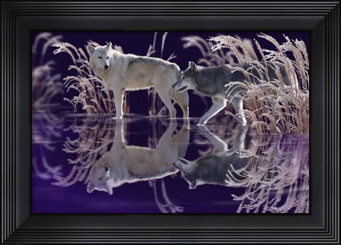 Framed Edge of Winter Print
