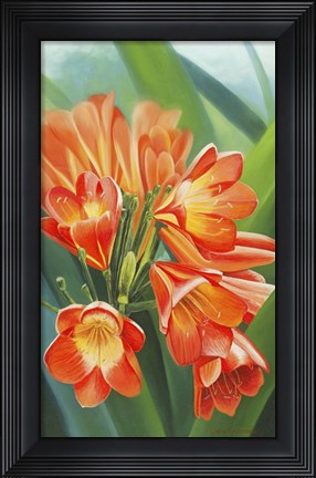 Framed Clivia Print