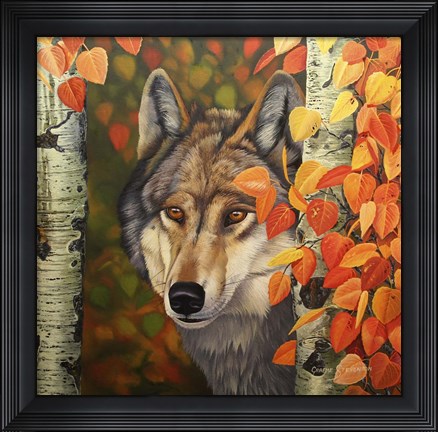 Framed Colours Of The Wolf Print