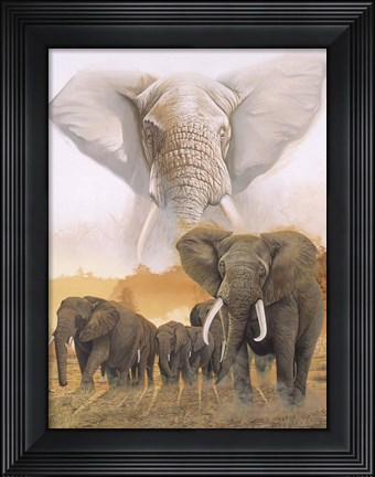 Framed Confrontation Print