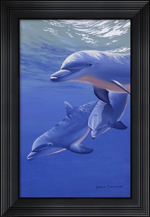 Framed Dolphin Smile Print