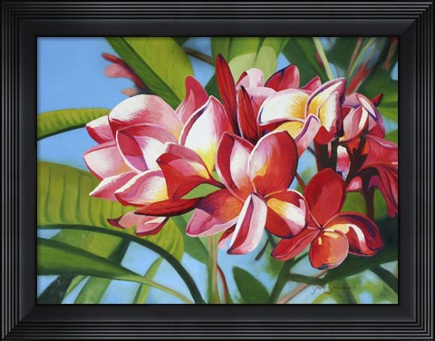 Framed Frangipani Days Print
