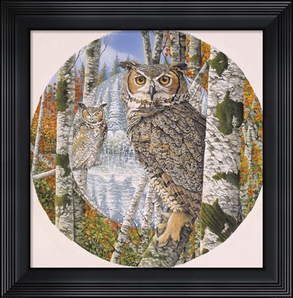 Framed Great Horned Camoflage Print