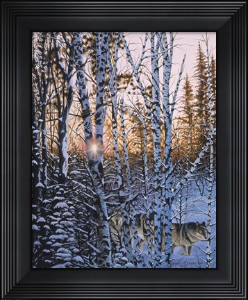 Framed Lupus Dawn Print