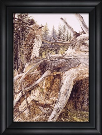 Framed Midnite Prince Print