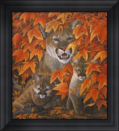 Framed Mountain Colors Print