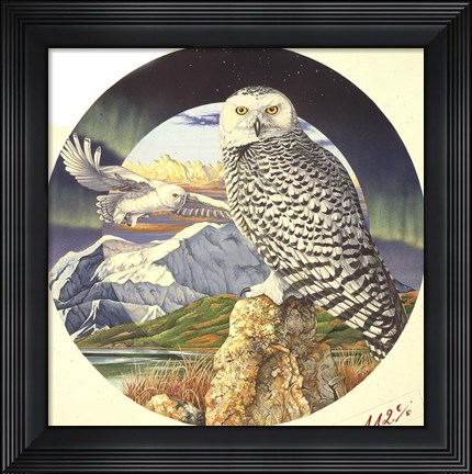 Framed Northern Lights Print