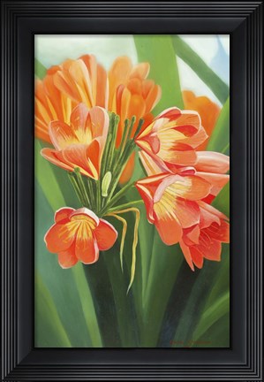 Framed Orange Flower 2 Print