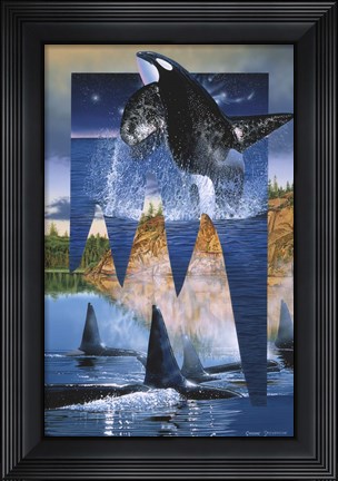 Framed Orca Reflections Print