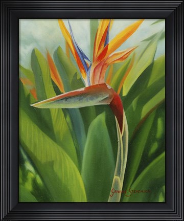 Framed Paradise 2 Print