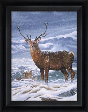 Framed Royal Scot Print