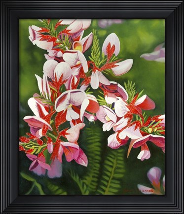 Framed Small Pink Print