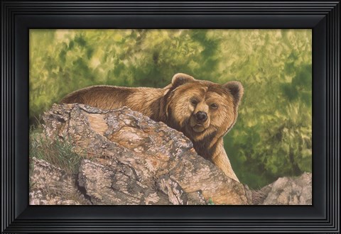 Framed Surprised Print
