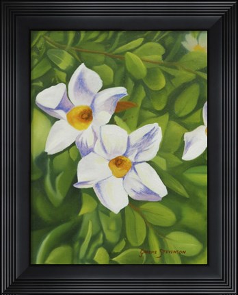 Framed White Flower Print
