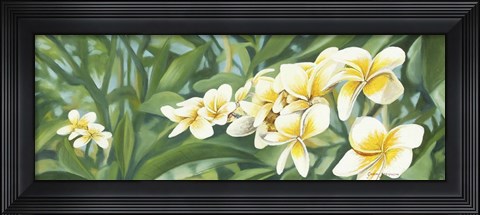 Framed White Fran Print