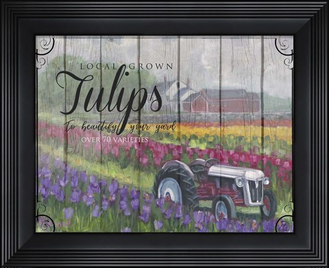 Framed Tractoring Through The Tulips Print