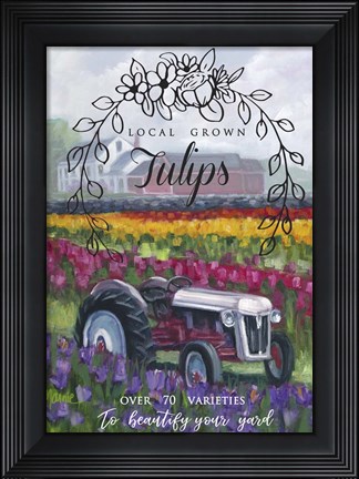 Framed Tractoring Through The Tulips 1 Print