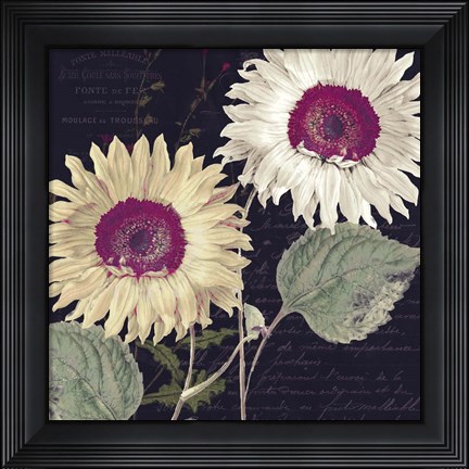 Framed Midnight Sun I Print