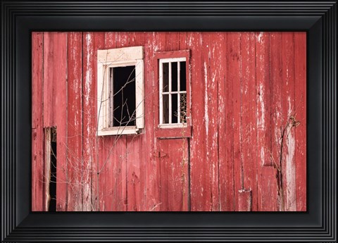 Framed Barn Windows Print