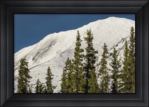 Framed Bluebird Day Print