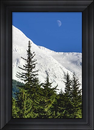 Framed Bluebird Moon Print