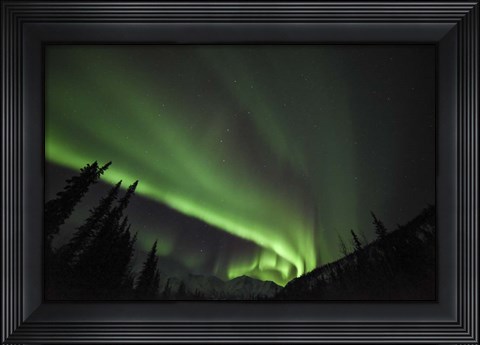 Framed Boreal Sensation Print